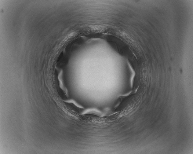 X0000080201249200612221357