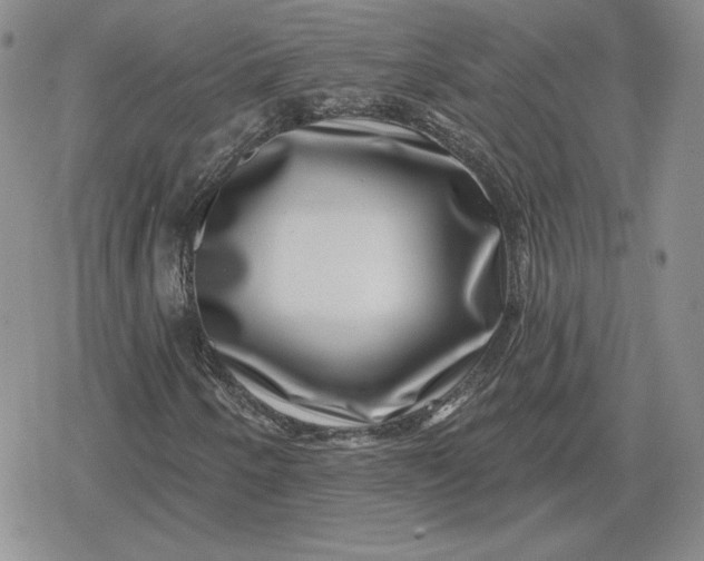 X0000080201250200612221357