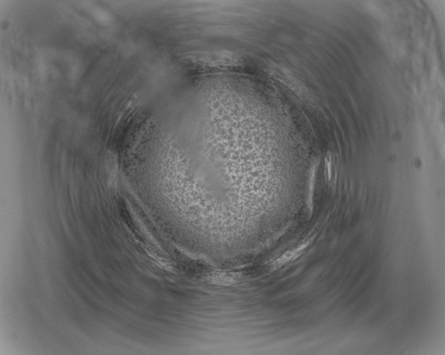 X0000080201251200612221357