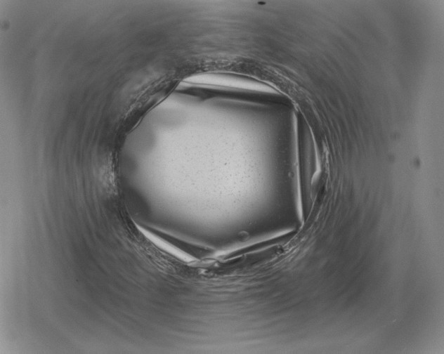 X0000080201252200612221357