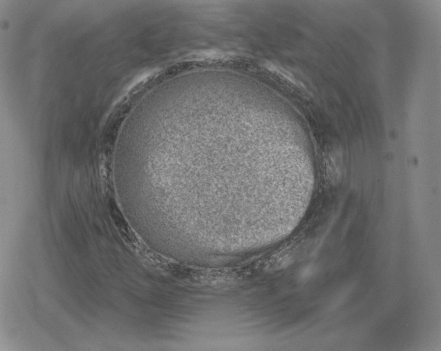 X0000080201254200612221357