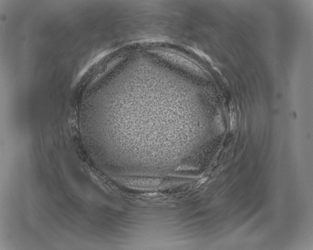 X0000080201255200612221357