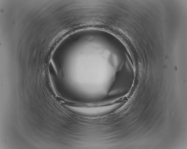 X0000080201257200612221357