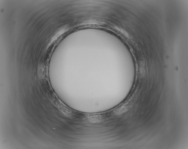 X0000080201258200612221357