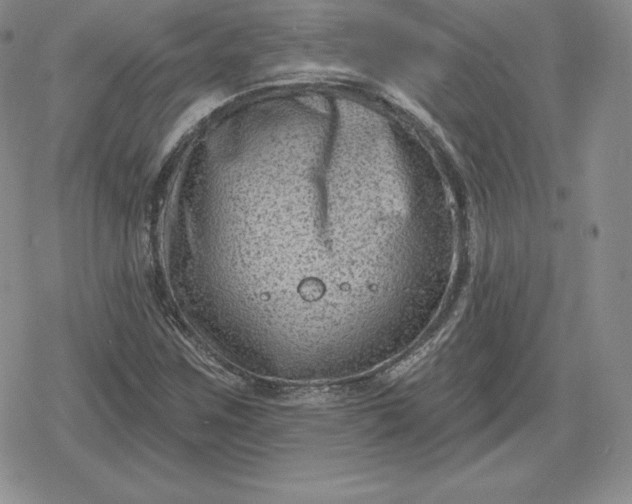 X0000080201259200612221357