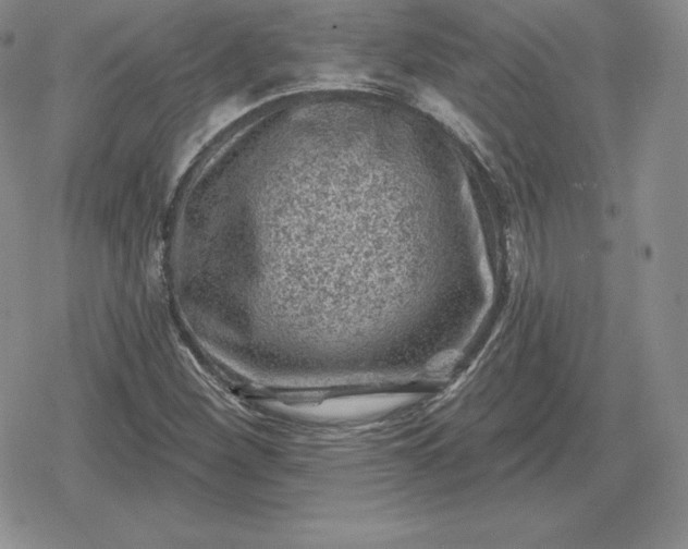 X0000080201260200612221357