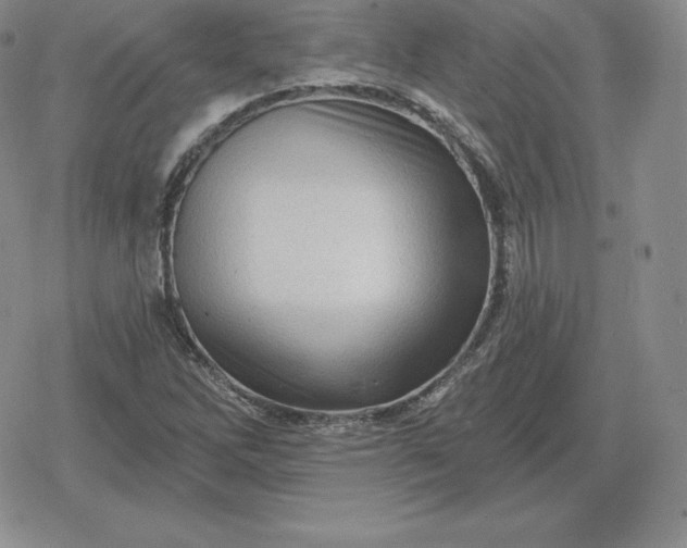 X0000080201262200612221357