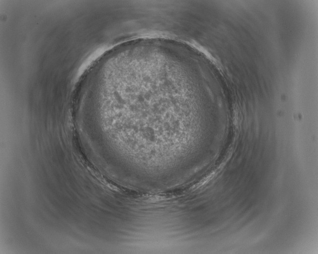 X0000080201263200612221357