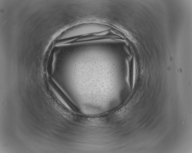 X0000080201264200612221357