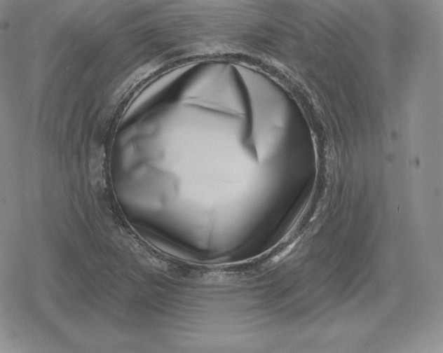 X0000080201265200612221356