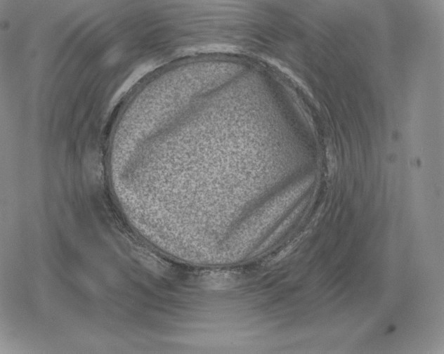 X0000080201266200612221356