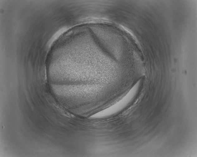 X0000080201267200612221356