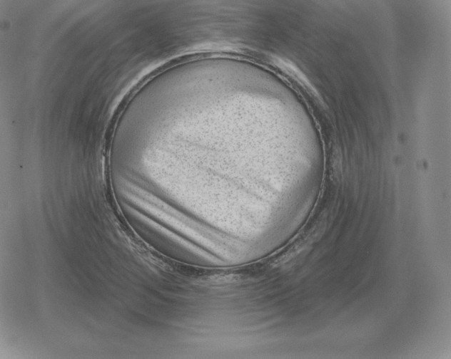 X0000080201268200612221356