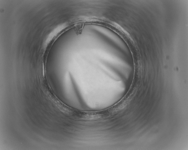 X0000080201269200612221356