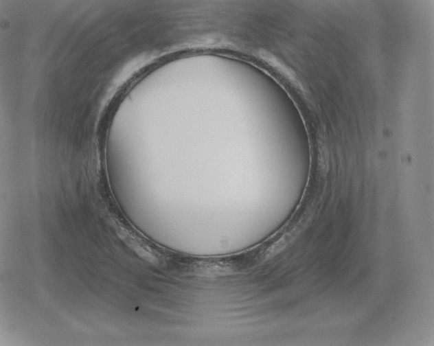 X0000080201270200612221356