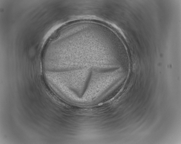 X0000080201271200612221356