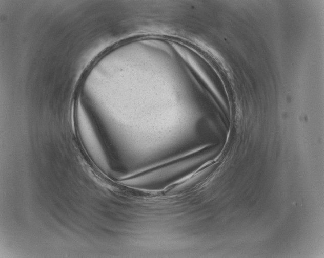 X0000080201272200612221356