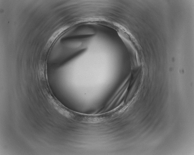 X0000080201273200612221356