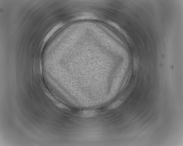 X0000080201274200612221356