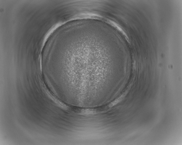 X0000080201275200612221356