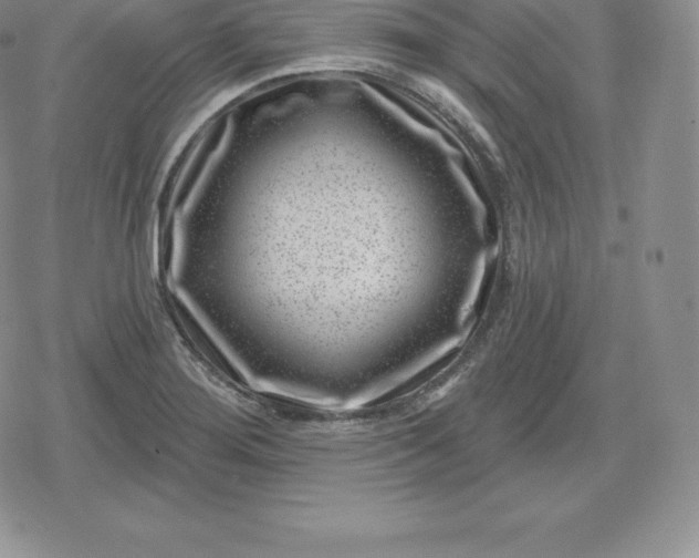 X0000080201276200612221356