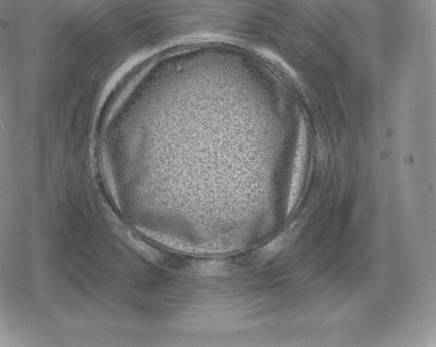 X0000080201278200612221356