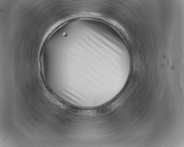 X0000080201280200612221356