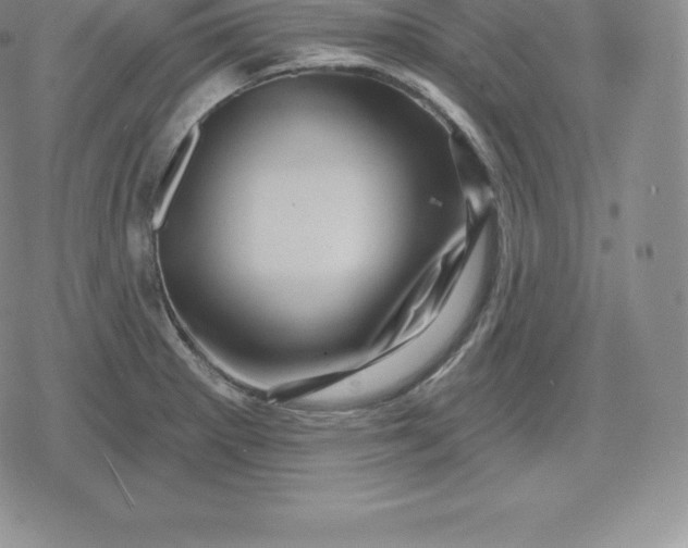 X0000080201281200612221356