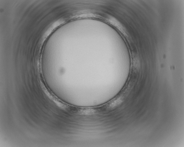 X0000080201282200612221356