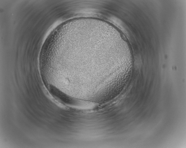 X0000080201283200612221356