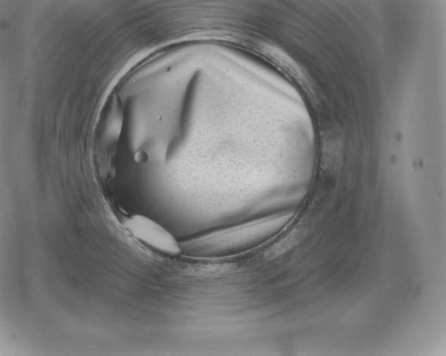 X0000080201284200612221356