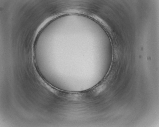 X0000080201286200612221356