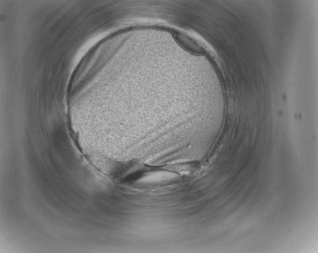 X0000080201287200612221356