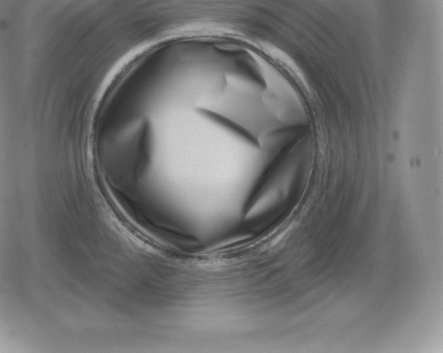 X0000080201288200612221356