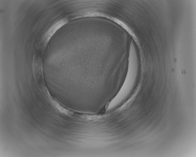 X0000080201289200612221356