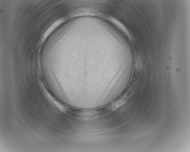 X0000080201290200612221356