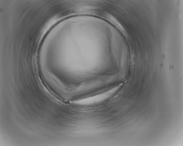 X0000080201291200612221356