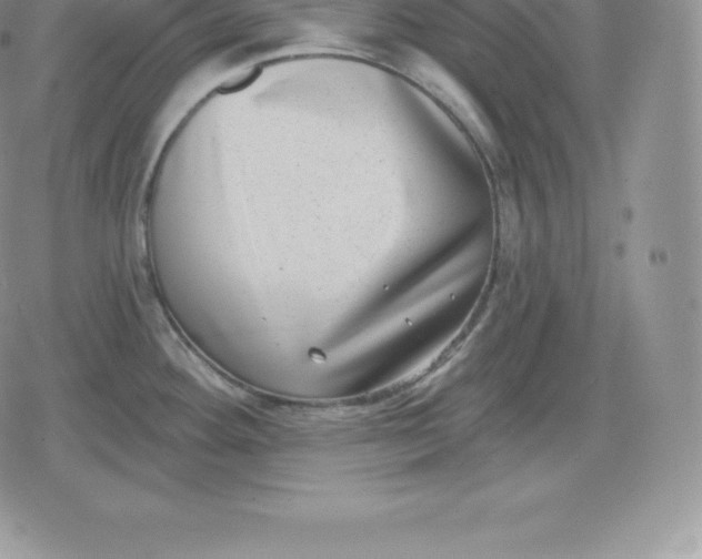 X0000080201292200612221356