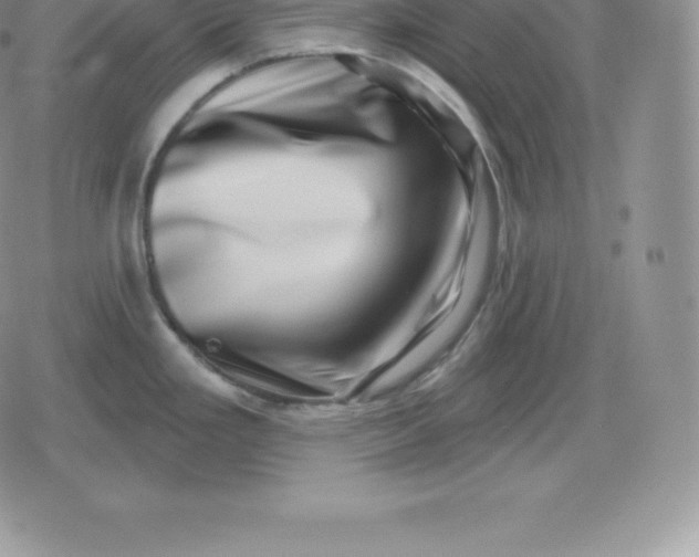 X0000080201293200612221356