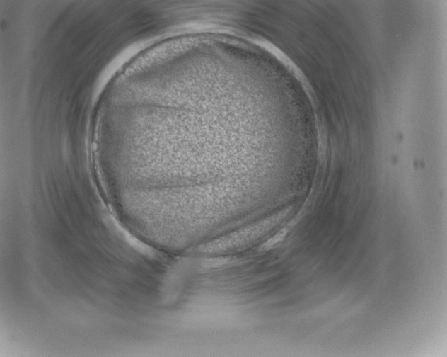 X0000080201294200612221356