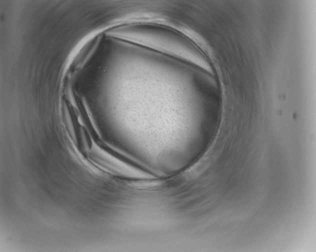 X0000080201296200612221356