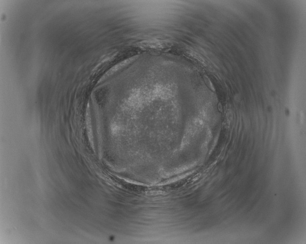 X0000080201297200612221355