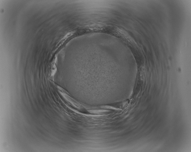 X0000080201298200612221355