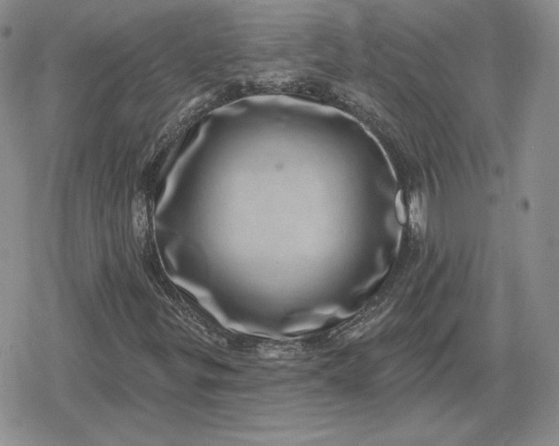 X0000080201299200612221355