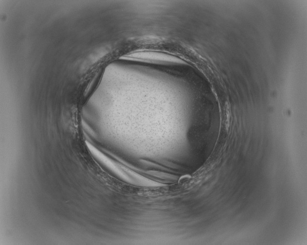 X0000080201301200612221355