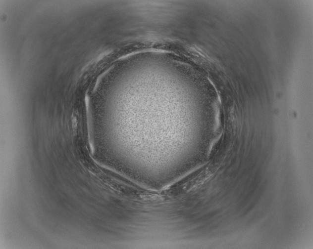 X0000080201302200612221355