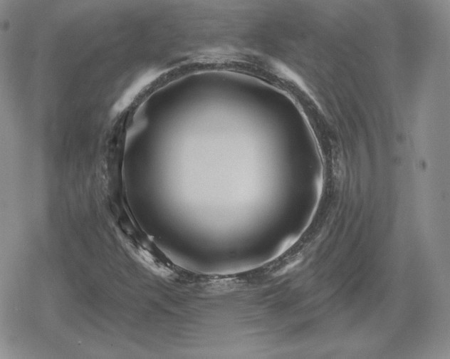 X0000080201304200612221355