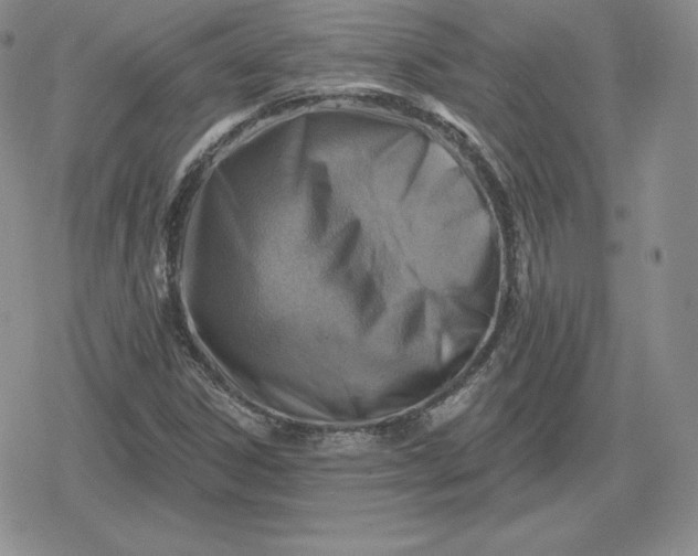 X0000080201306200612221355