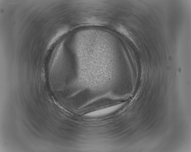 X0000080201307200612221355