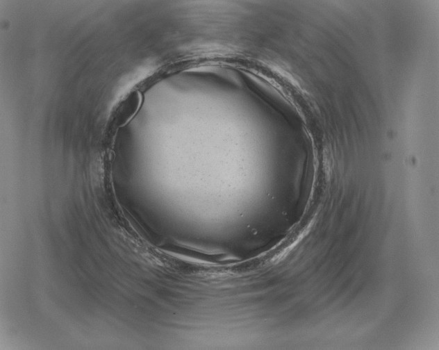 X0000080201309200612221355